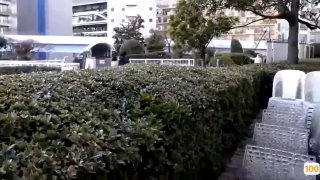 公主恋人动漫湖南湖北异性spa